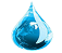 gota
